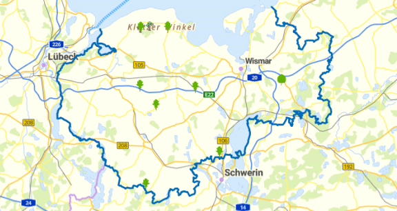 Wege zu alten Bäumen