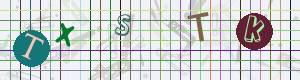 Captcha-Code - Es besteht die Möglichkeit, sich den Captcha-Code vorlesen zu lassen, klicken sie dazu auf den Button mit dem Titel 'Liest den Captcha-Code vor(Audioausgabe)'