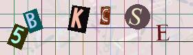 Captcha-Code - Es besteht die Möglichkeit, sich den Captcha-Code vorlesen zu lassen, klicken sie dazu auf den Button mit dem Titel 'Liest den Captcha-Code vor(Audioausgabe)'